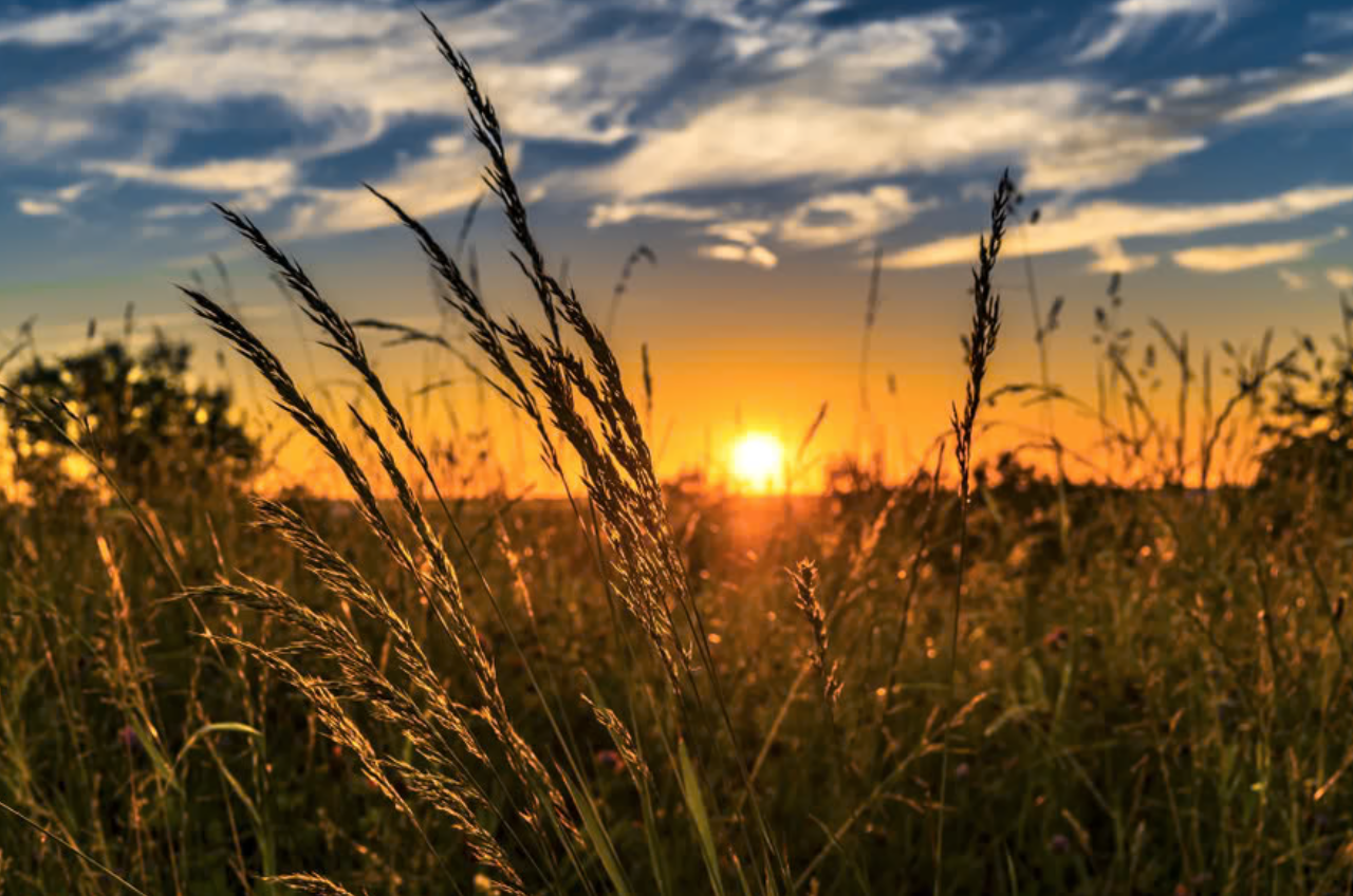 sunrise